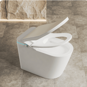 Smart Toilet with Built-in Heated Seat, Tankless Toilet with Auto Flushing, Adjustable Seat Temp, Flush Remote Control LED Digital Display, Elong